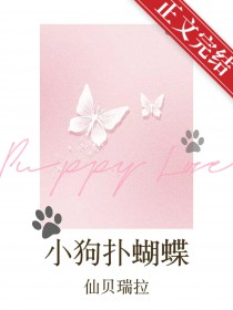 小狗视频